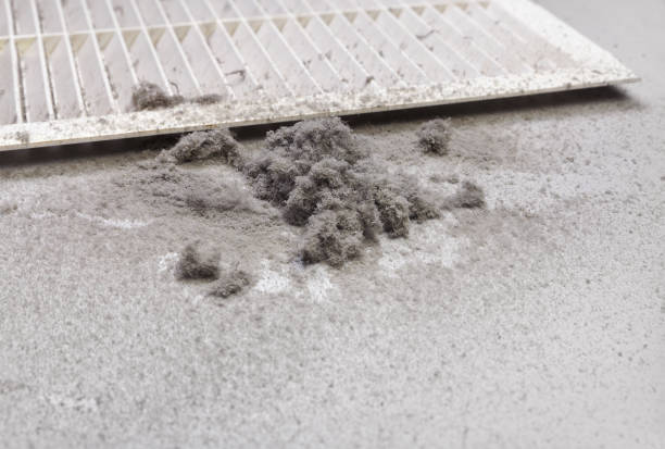 Best Dryer Vent Cleaning Services  in Park View, IA