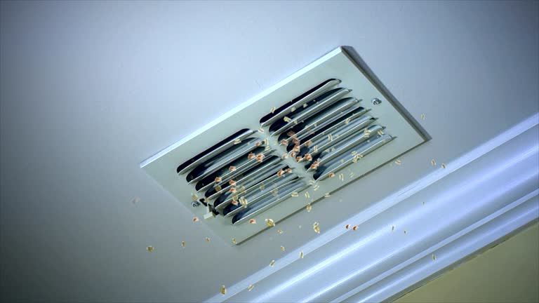 Best Air Duct Cleaning Near Me  in Park View, IA