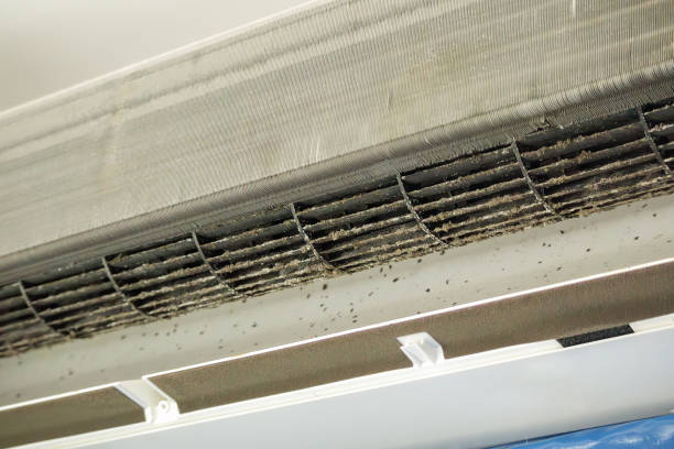 Best Air Duct Cleaning Near Me  in Park View, IA